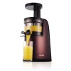 extracteur de jus vertical extracteur de jus vertical hurom hg extracteur de jus extracteur de jus vertical extracteur de jus vertical hurom hg extracteur de jus