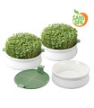 Coupelles de germination - lot de 3