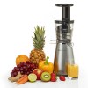 extracteur de jus vertical extracteur de jus vertical juicepresso argent nature et vitalit 233 extracteur de jus vertical extracteur de jus vertical juicepresso argent nature et vitalit 233