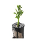 Extracteur de jus Kuvings D9900 Gris Mat Anthracite
