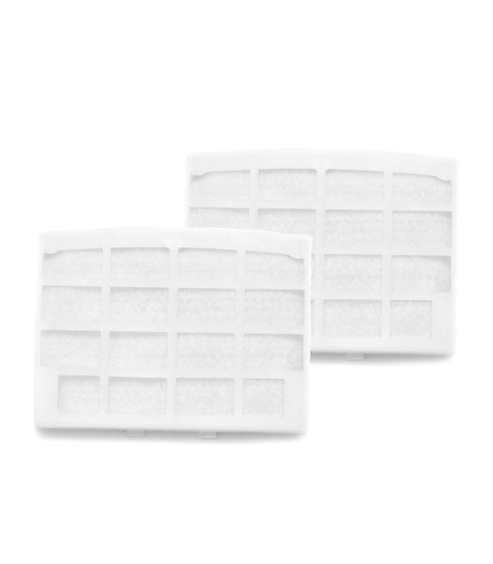 Lot de 2 filtres à air (pièces détachées)