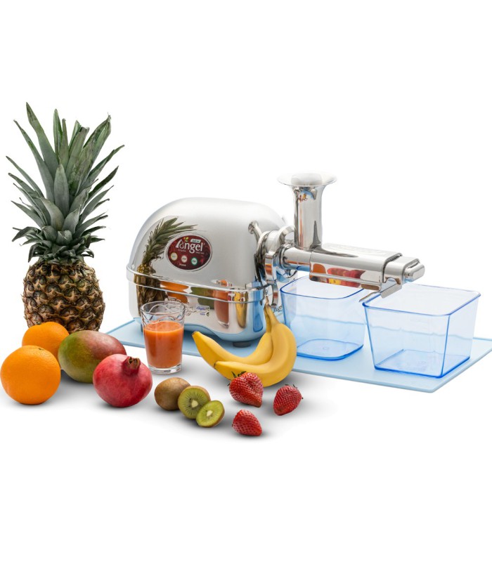 Extracteur de jus Angel 5500