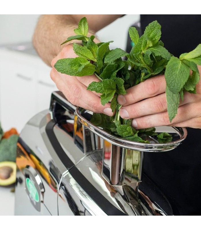 Promo-Pack ! Greenstar Elite Chromé - Tribest - Avec Kit à pâtes