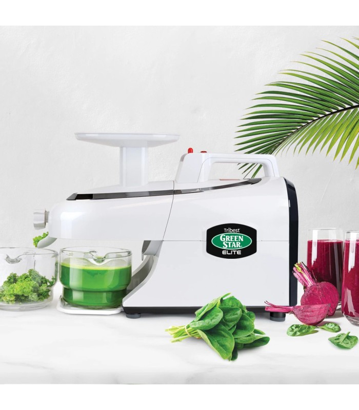 Promo-Pack ! Greenstar Elite GSE5300 - Tribest - Avec Kit à pâtes