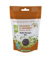 Graines à germer Radis pourpre (100g)