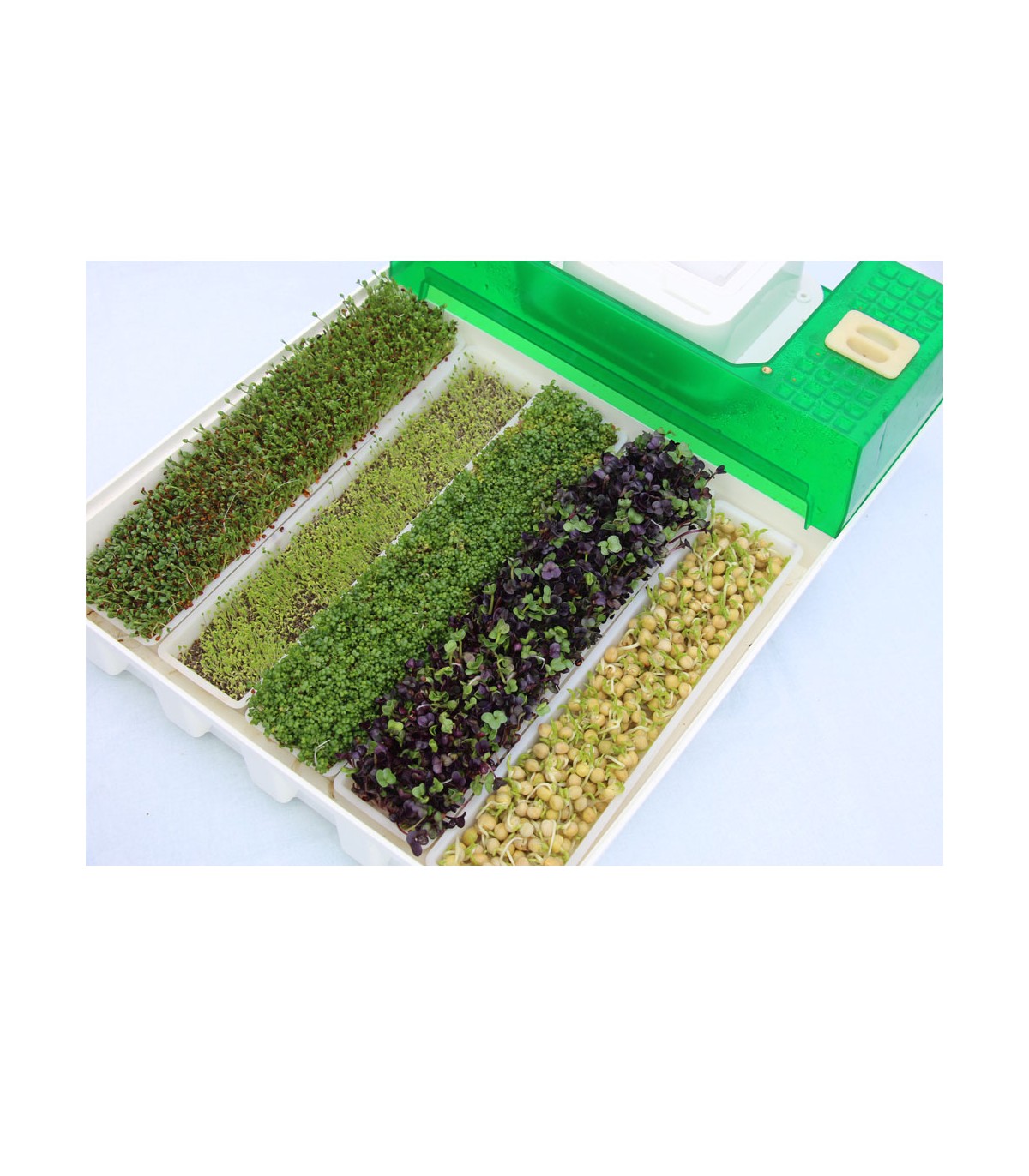 SproutPearl Germoir avec 3 plateaux de graines + graines germées