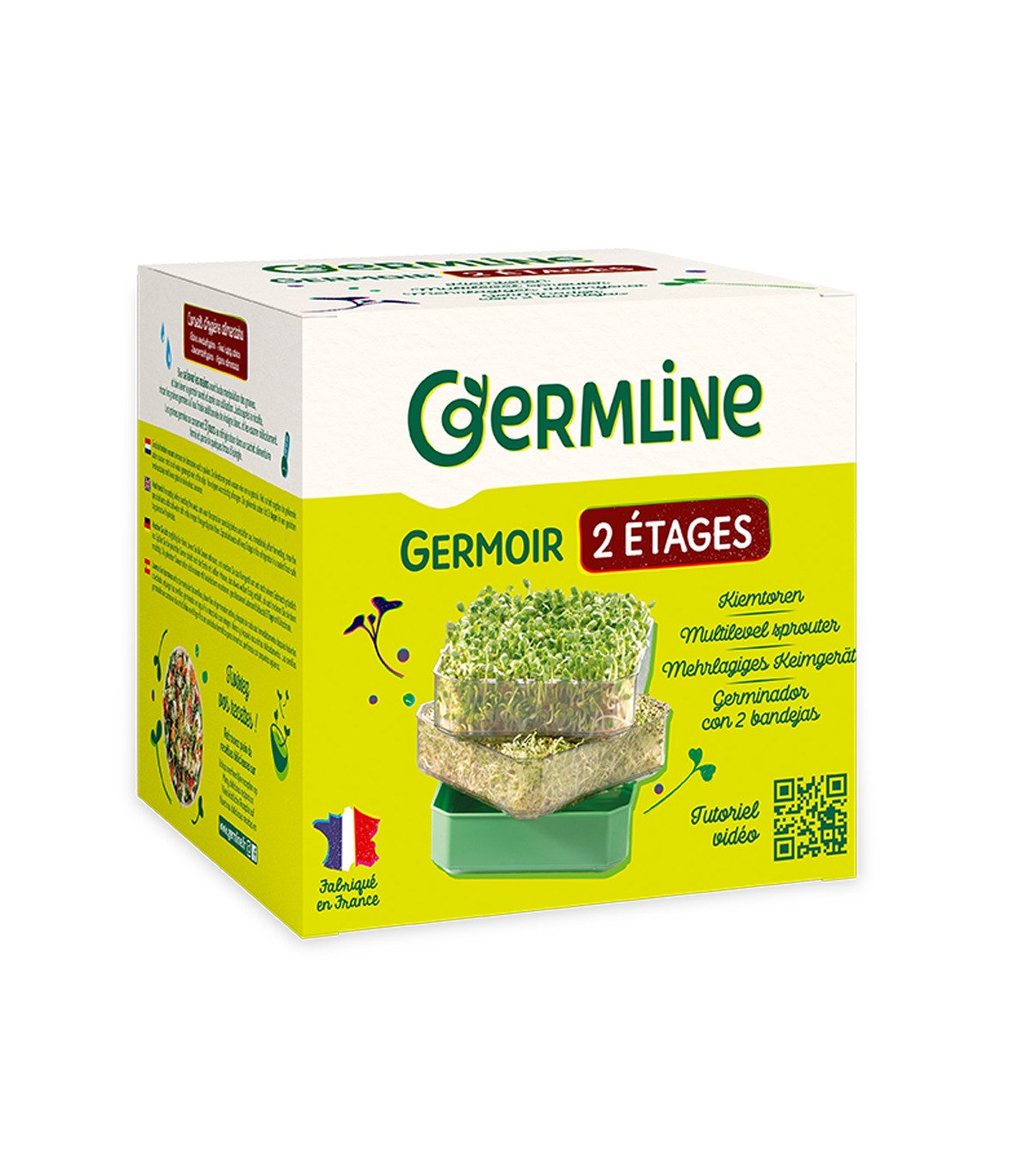 6 germoirs en verre Germline - Nature et Vitalité 🍏