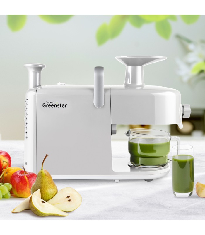 Greenstar GS5 Blanc - Tribest