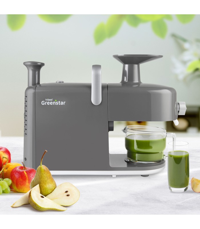 Greenstar GS5 Gris - Tribest