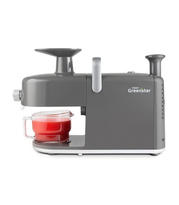 Greenstar GS5 Gris - Tribest