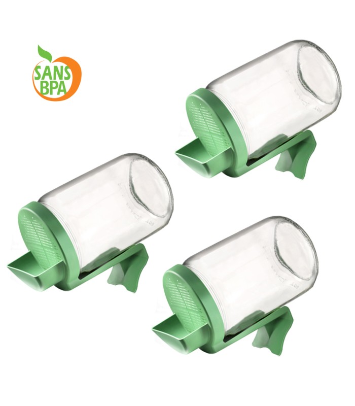 Germoir en verre - lot de 3