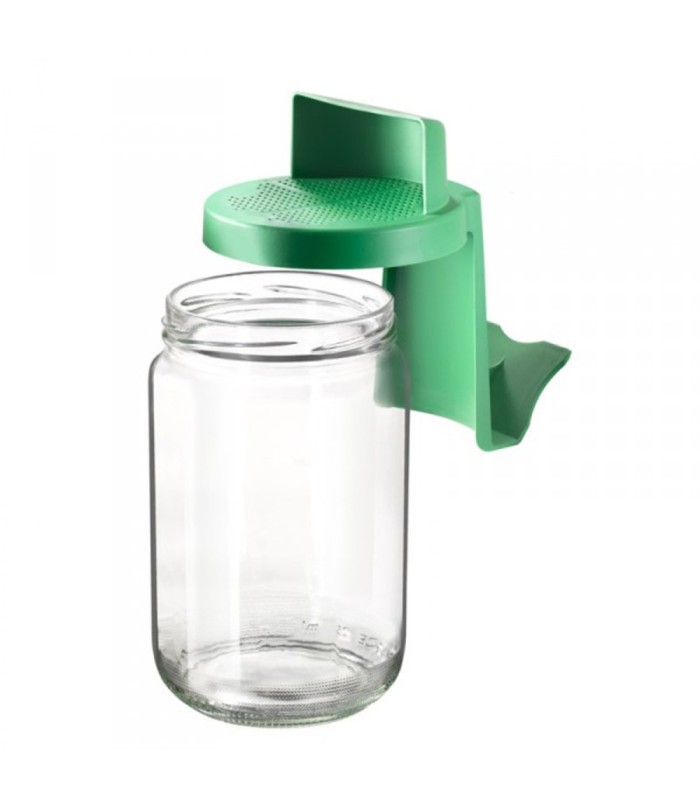 Germoir en verre - lot de 3