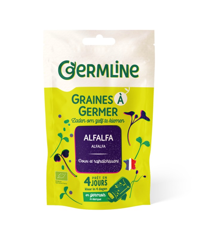 Graines à germer Alfalfa