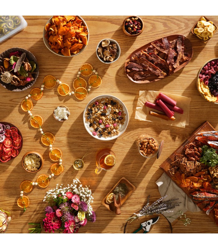 Déshydrateur Excalibur Performance 6 plateaux Inox