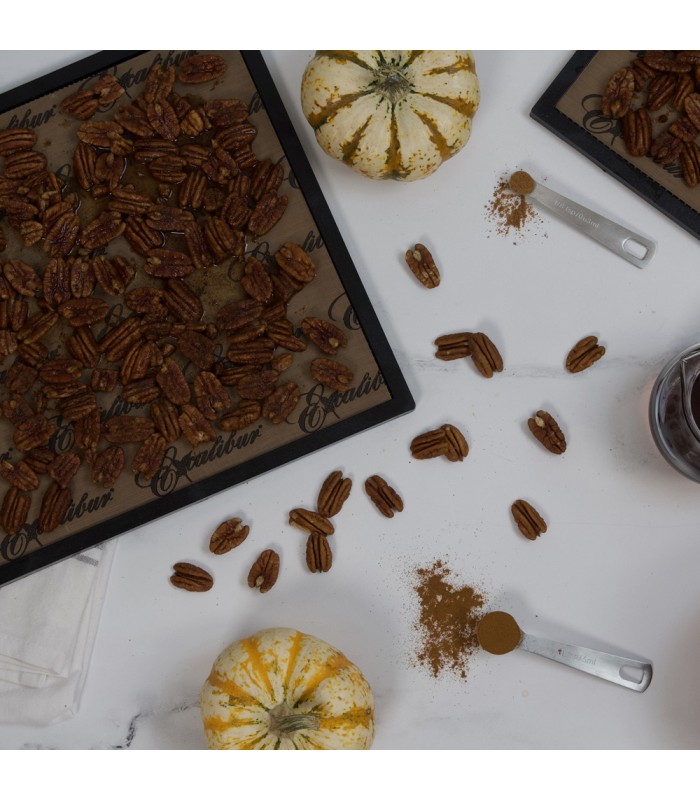 Feuille Teflex pour Excalibur 5, 6, 9 et 10 plateaux