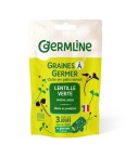 Graines à germer lentilles