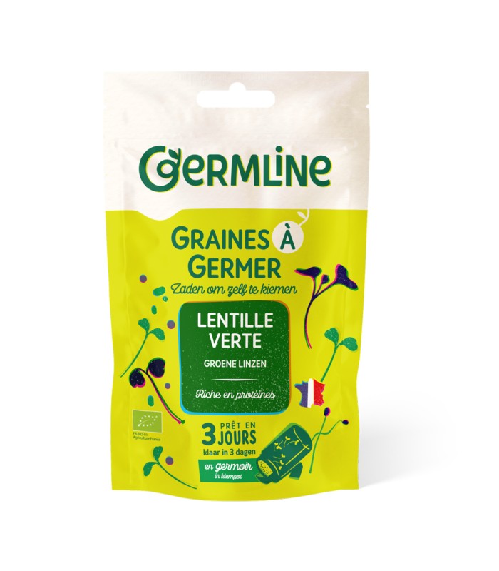 Graines à germer lentilles