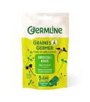 Graines à germer brocoli