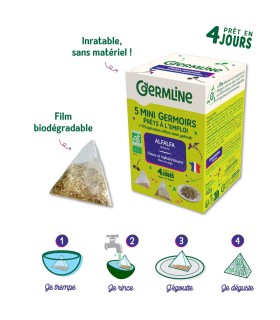 Mini germoir Alfalfa, lot de 5