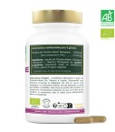 Chardon Marie Bio Amoseeds - 120 gélules