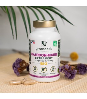 Chardon Marie Bio Amoseeds - 120 gélules