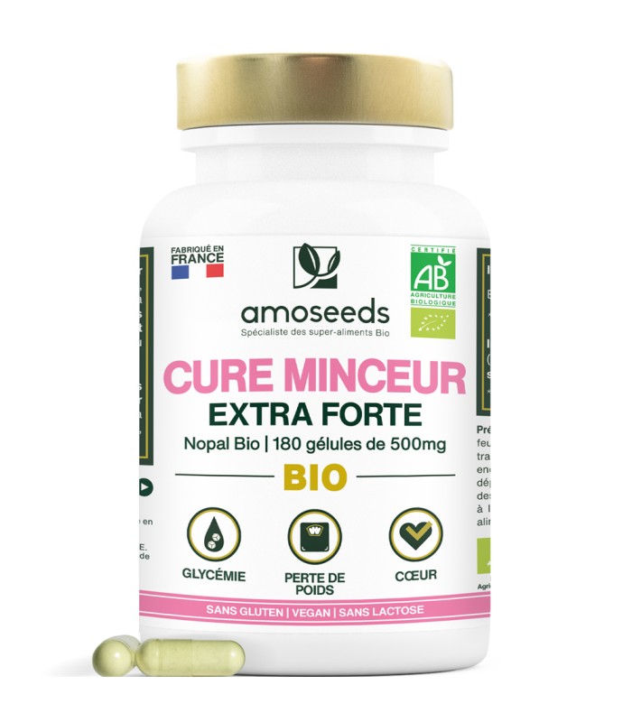 Cure Minceur Bio 180 gélules de poudre de cladodes de nopal