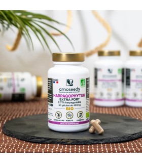 Harpagophytum Bio Amoseeds - 60 gélules