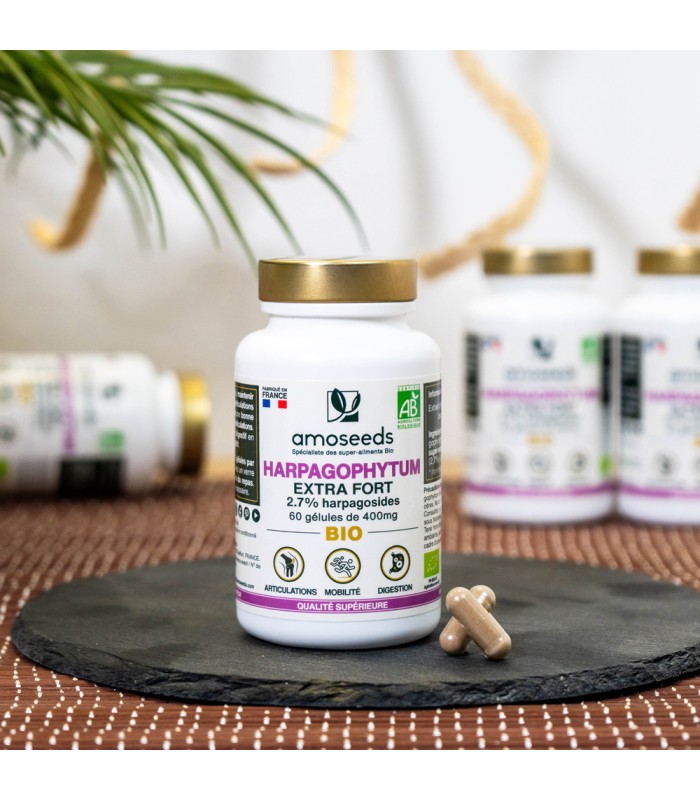 Harpagophytum Bio Amoseeds - 60 gélules