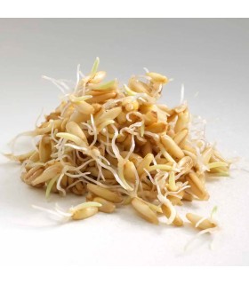 Flocons d'Avoine Germée Bio Germline - 350g