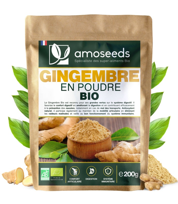 Poudre de rhizome de gingembre Bio 200g