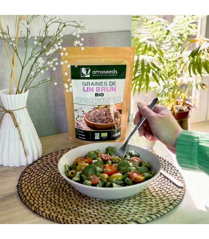 Graines de Lin Brun Bio Amoseeds - 1Kg