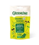 Graines Alfalfa Roquette Germline
