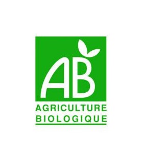 Graines à germer bio Moutarde en coupelle de germination