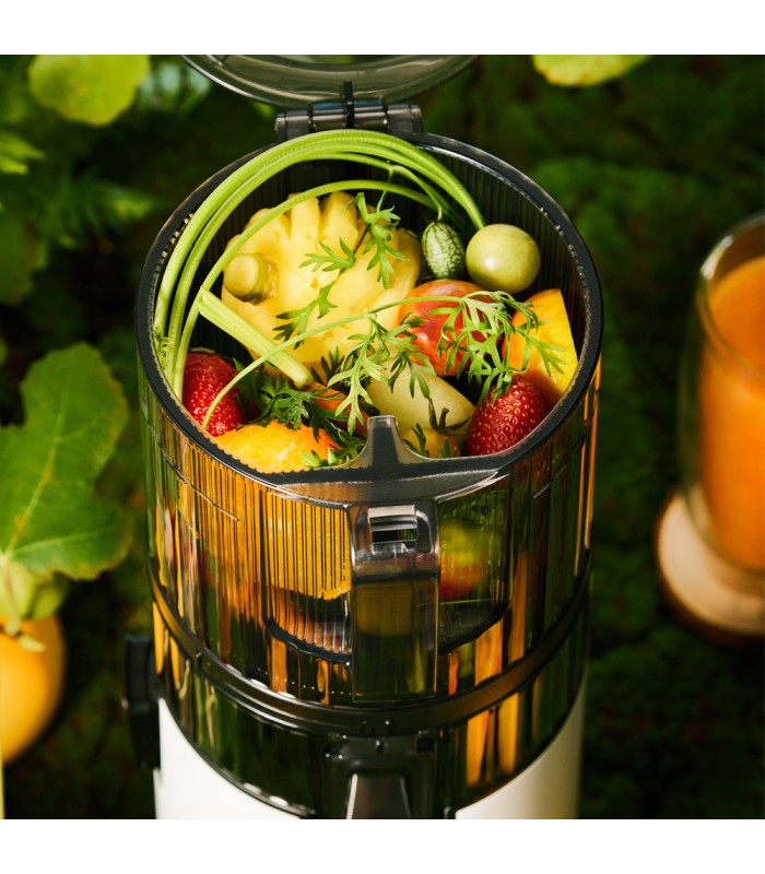 Extracteur de jus vertical Hurom H70-FT - Gris Titane