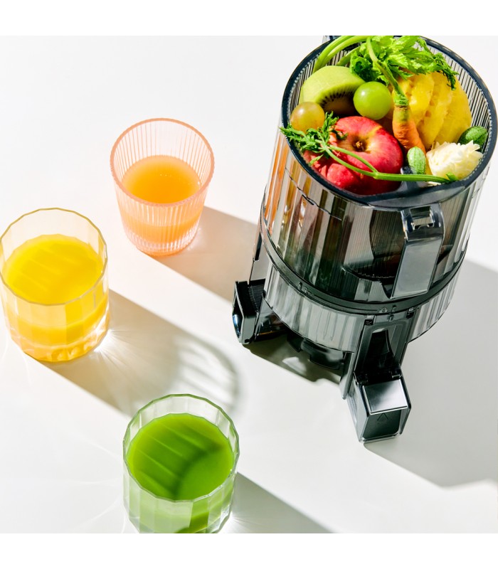 Extracteur de jus vertical Hurom H70-FT - Gris Titane