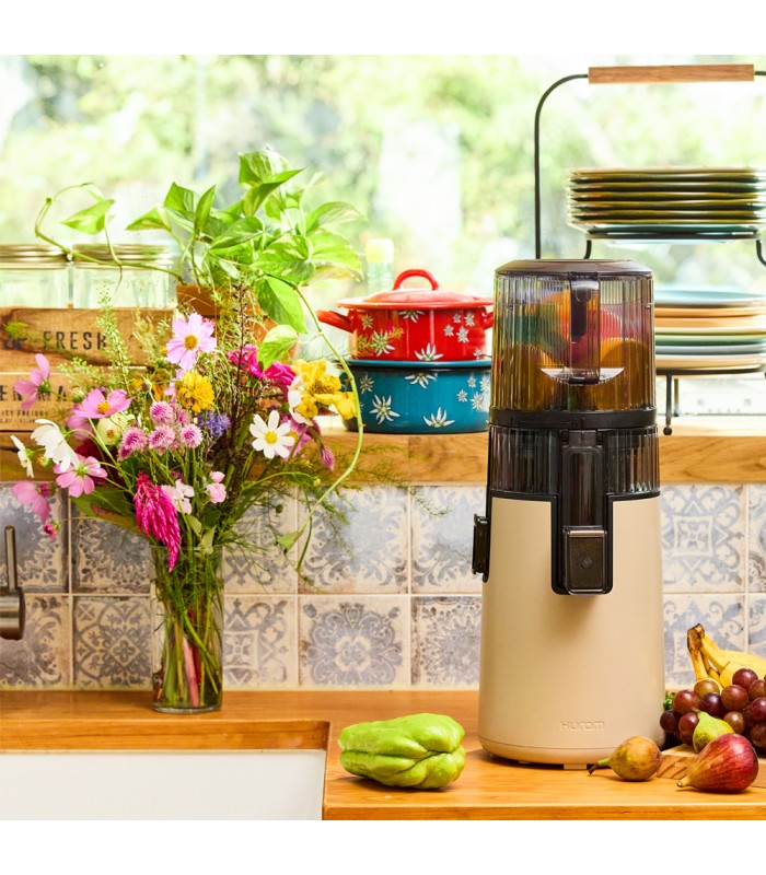 Extracteur de jus vertical Hurom H70-FT - Gris Titane