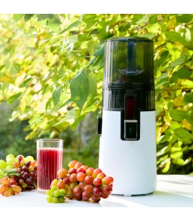 Extracteur de jus vertical Hurom H70-FT - Blanc