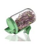 Germoir en verre - lot de 2
