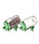 Germoir en verre - lot de 2