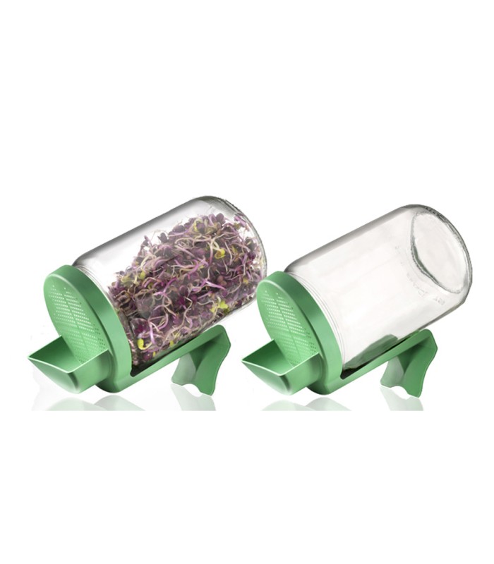 Germoir en verre - lot de 2
