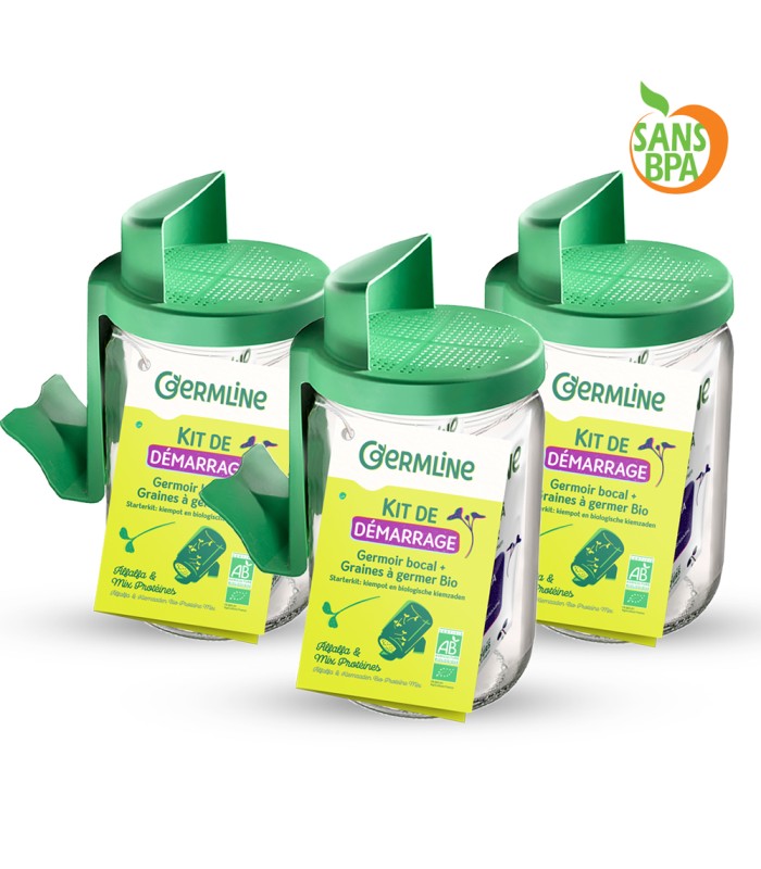 Germline germoirs en verre, lot de 3