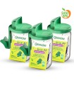 Germoir en verre - lot de 3