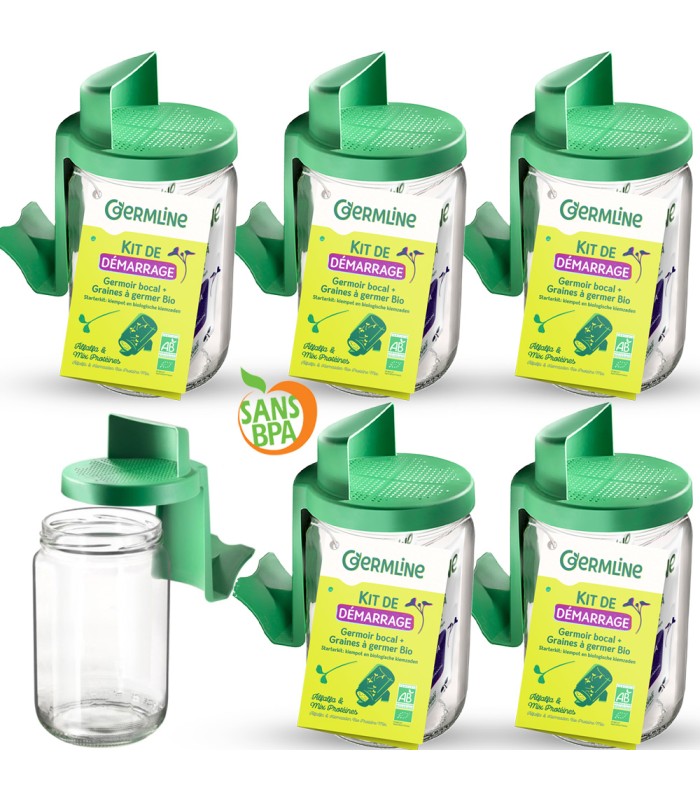 Germoir en verre Germline - lot de 6