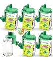 Germoir en verre - lot de 6