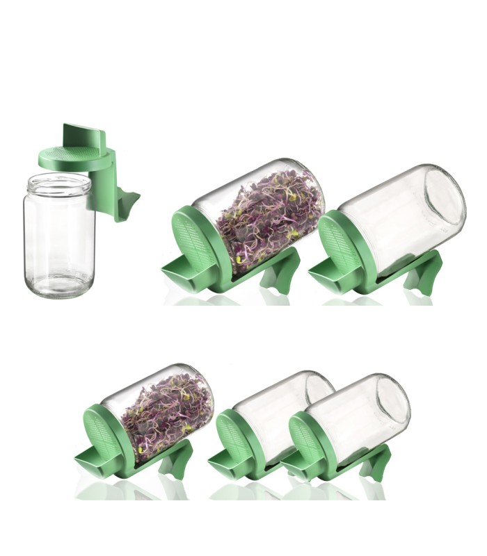 Germoir en verre - lot de 6