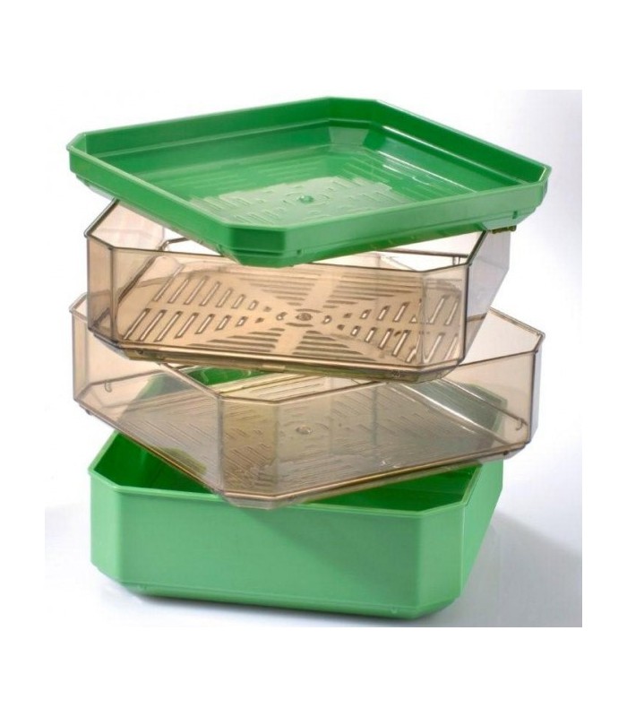 Germoirà  2 étages Germeline