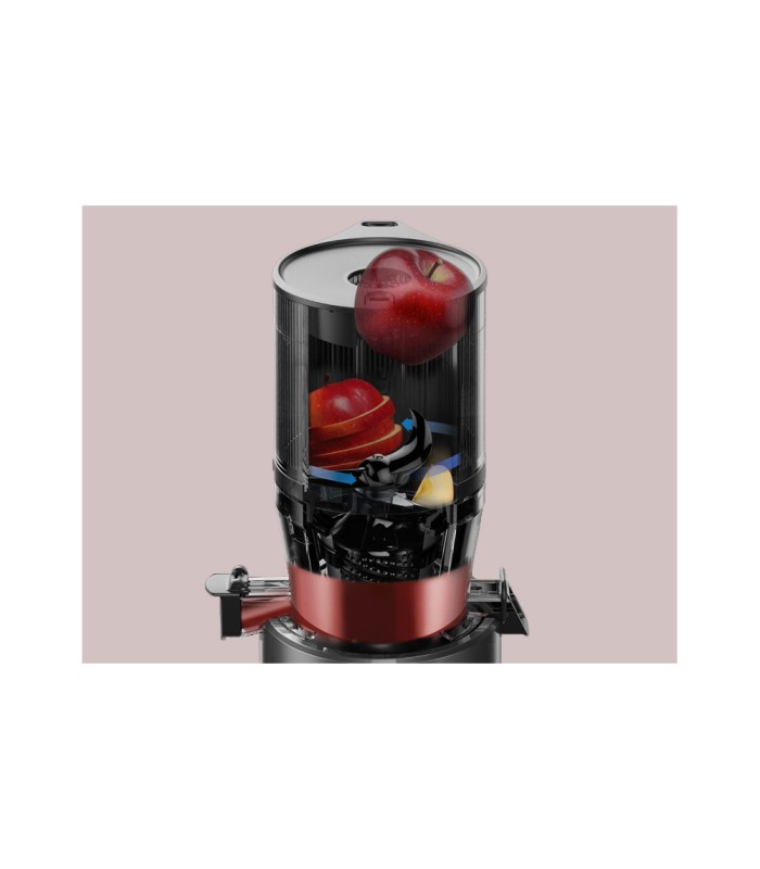 Extracteur de jus vertical Hurom H320N - Noir