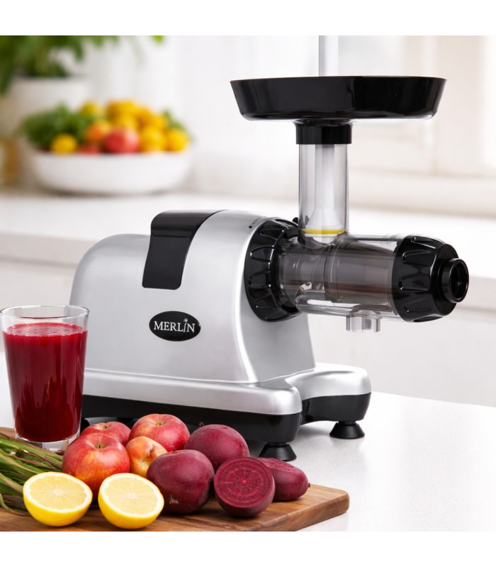 Extracteur de jus Merlin MNC500S - Gris