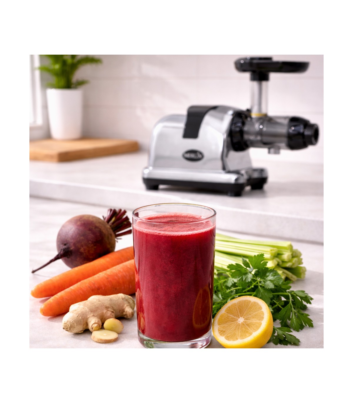 Extracteur de jus Merlin MNC500MC - Chromé