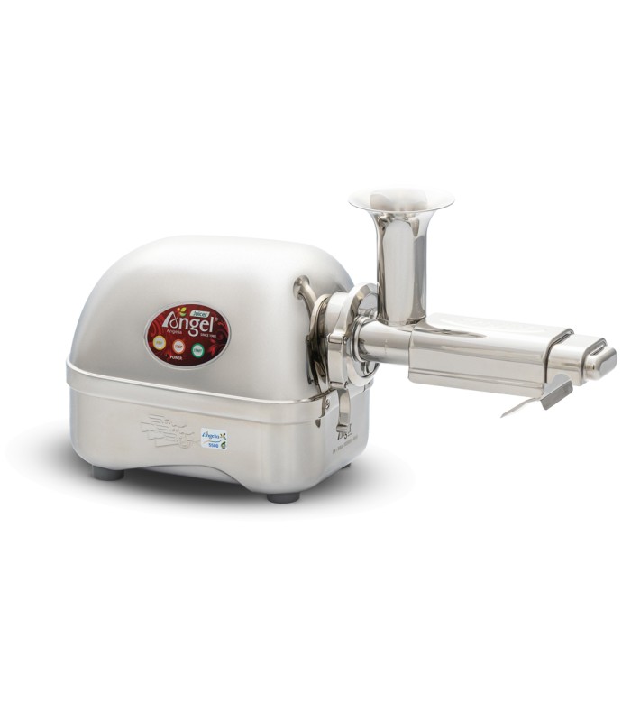 OCCASION - Extracteur de jus Angel 5500